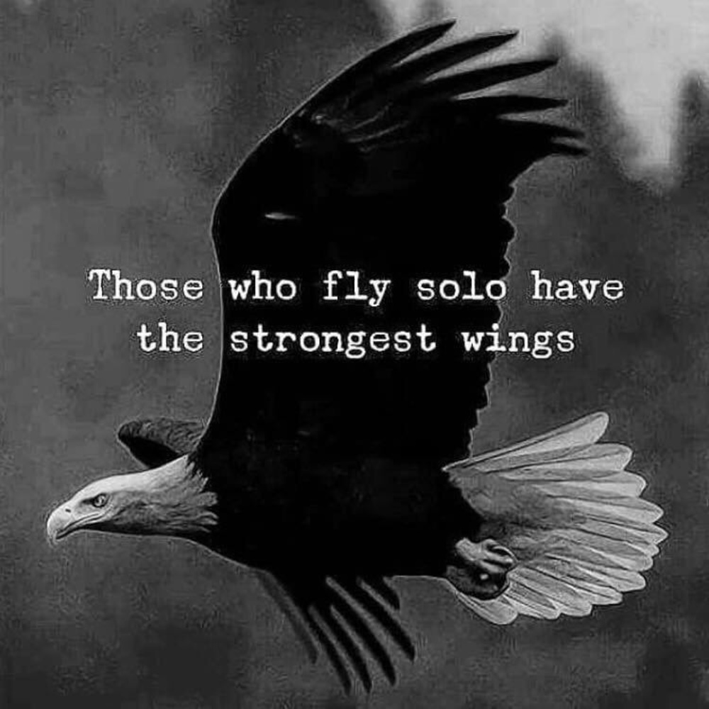 Meet your Posher, Glenda